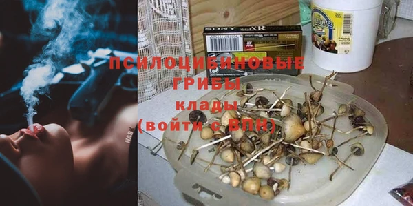 гашик Алзамай