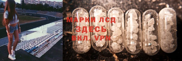 гашик Алзамай
