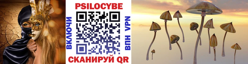 Купить где  Короча  Галлюциногенные грибы ЛСД 